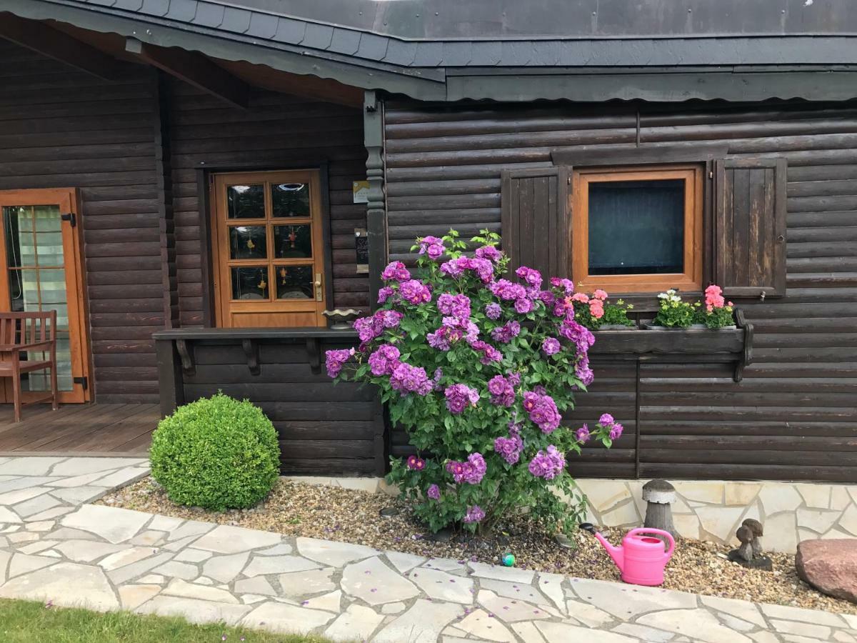 Holzhaus Harz Villa Schielo ภายนอก รูปภาพ